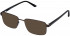 Cameo HARRY sunglasses in Brown