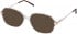 Cameo ELIZABETH-55 sunglasses in Brown and Crystal