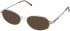Cameo ALICE-50 sunglasses in Sherry and Crystal