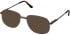 Cameo ADAM-52 sunglasses in Brown