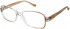 Matrix 817-51 glasses in Brown and Crystal