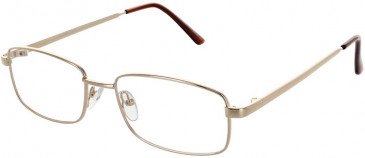 Matrix 216-55 glasses in Gold