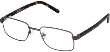 Lazer 4098-53 glasses in Brown
