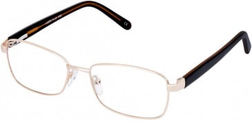 Lazer 4092-51 glasses in Gold