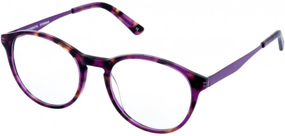 Cameo STEPH glasses in Purple
