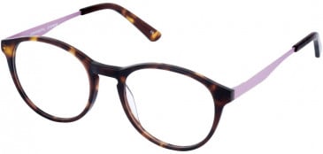 Cameo STEPH glasses in Brown and Lilac