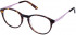 Cameo STEPH glasses in Brown and Lilac