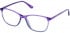 Cameo SHIRLEY glasses in Purple