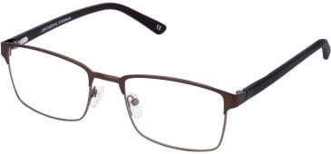 Cameo OSCAR glasses in Brown