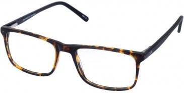 Cameo MASSIMO glasses in Brown