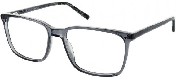 Cameo MARCUS glasses in Grey
