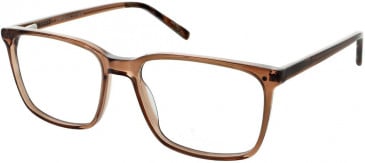Cameo MARCUS glasses in Brown