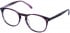 Cameo LOTTIE glasses in Mauve