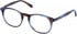 Cameo LOTTIE glasses in Brown