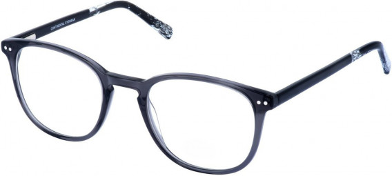 Cameo MATT glasses in Grey