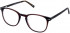 Cameo MATT glasses in Brown