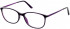 Lazer 4104-51 glasses in Purple