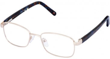 Lazer 4100-50 glasses in Gold