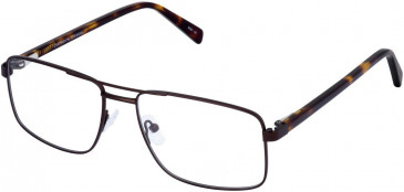 Cameo WILLIAM glasses in Brown