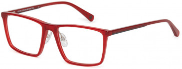 Benetton BEO1001-54 glasses in Red