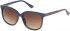 Joules JS7058 sunglasses in Navy