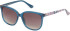 Joules JS7058 sunglasses in Crystal Teal