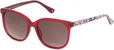 Joules JS7058 sunglasses in Crystal Red