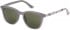 Joules JS7055 sunglasses in Grey