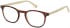 Hackett HEB138 glasses in Horn Beige UTX