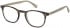 Hackett HEB138 glasses in Grey Milky Grey UTX