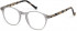 Hackett HEB218 glasses in Grey UTX