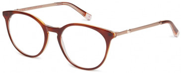 Ted Baker TB9196 glasses in Tort Orange