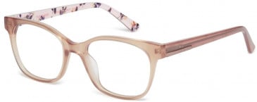 Ted Baker TB9195 glasses in Mocha