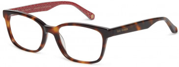 Ted Baker TB8230 glasses in Tortoise