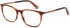 Ted Baker TB8219 glasses in Cognac Horn