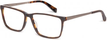 Ted Baker TB8218 glasses in Brown Tort