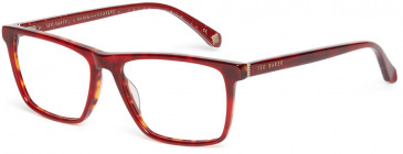 Ted Baker TB8217 glasses in Red Tort