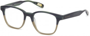 Ted Baker TB8211 glasses in Brown Horn Light Brown
