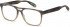 Ted Baker TB8207 glasses in Grey Horn Grey