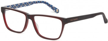 Ted Baker TB8199 glasses in Burgundy