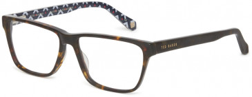 Ted Baker TB8199 glasses in Tortoise