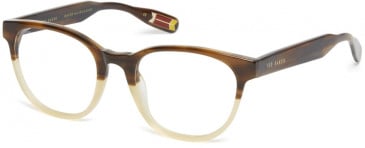 Ted Baker TB8197 glasses in Brown Horn Honey