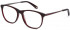 Ted Baker TB8191 glasses in Burgundy