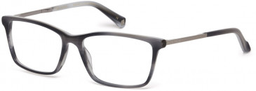 Ted Baker TB8189 glasses in Grey Horn