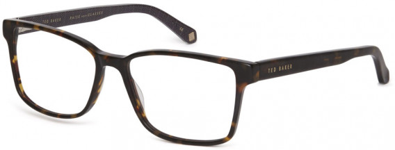 Ted Baker TB8188 glasses in Tortoise