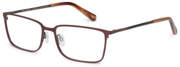 Ted Baker TB4303 glasses in Burgundy