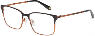 Ted Baker TB4294 glasses in Black Copper