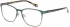 Ted Baker TB4293 glasses in Racing Green