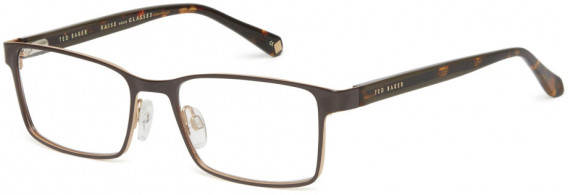 Ted Baker TB4278 glasses in Chocolate