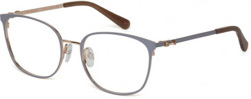Ted Baker TB2256 glasses in Grey